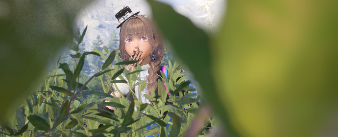 look image