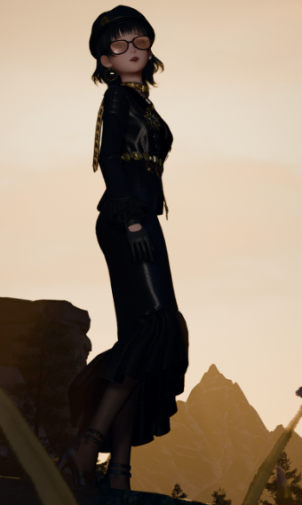 The admiral image
