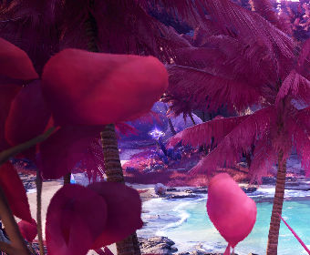 First image