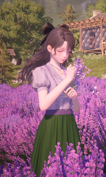 Lavender Field image