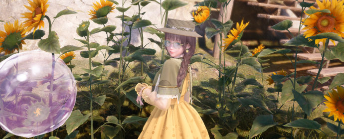 Third image