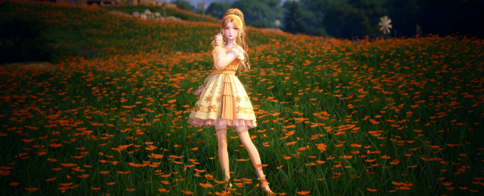 look image
