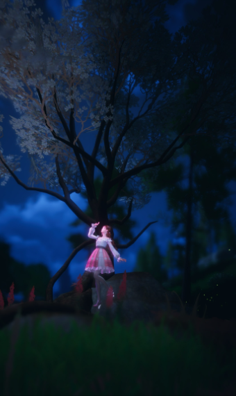 First journey image