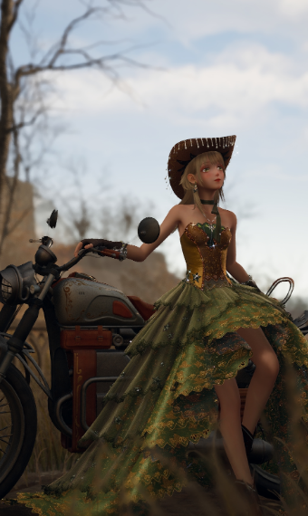 princess cowgirl image