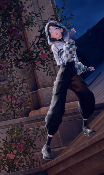 The Data Thief image