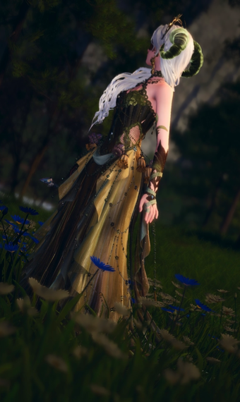 Lady of the Bog image