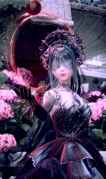 Supreme of Wonderment image