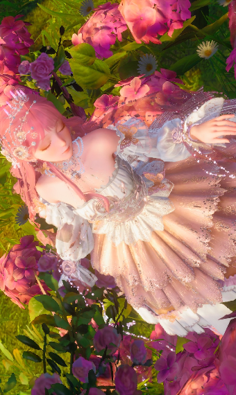 Coral Roses image
