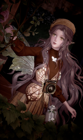 A Photographer and A Fairy image