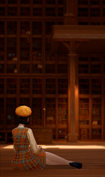 Meet Me in the Library image