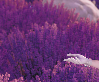First image