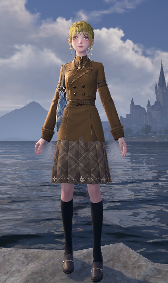 Brown uniform image
