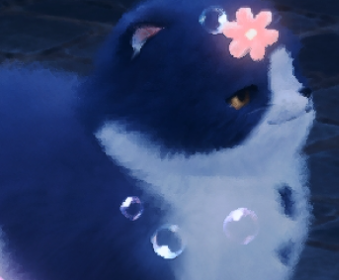 First image