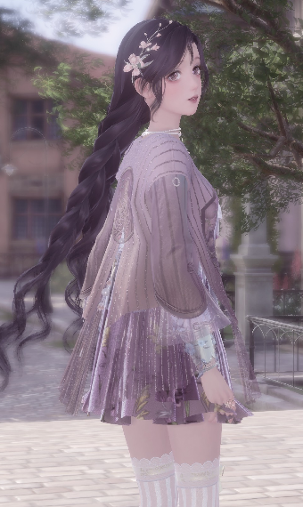 Plum Blossom image