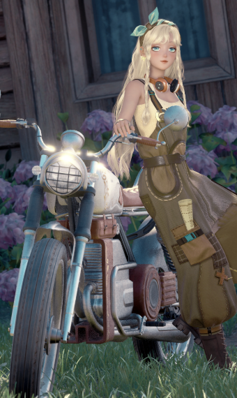florawish's best bike mechanic image