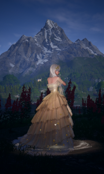 Rings and Dreams image