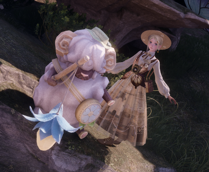 Look image
