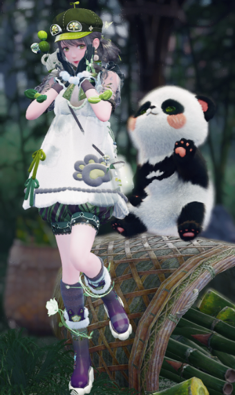 Bao Bao image