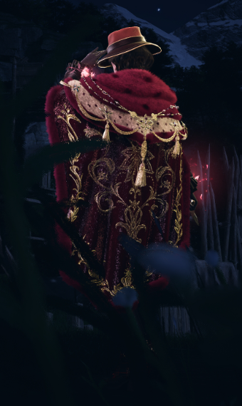 Winter Knight Captain image