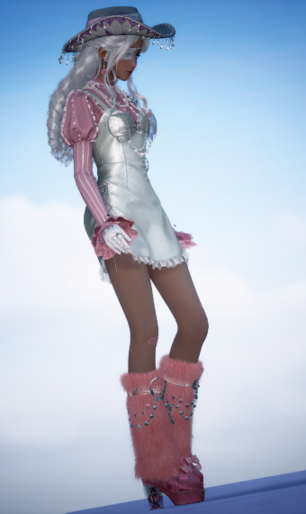 space cowgirl image