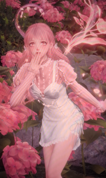 pink dreams image