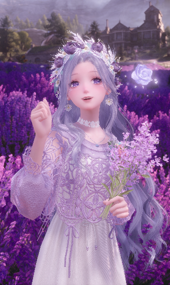 Lavender in bloom image