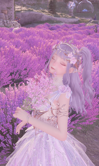 fantasy fae image
