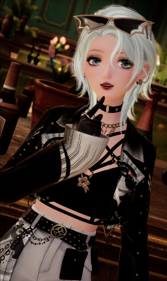 Ryder image