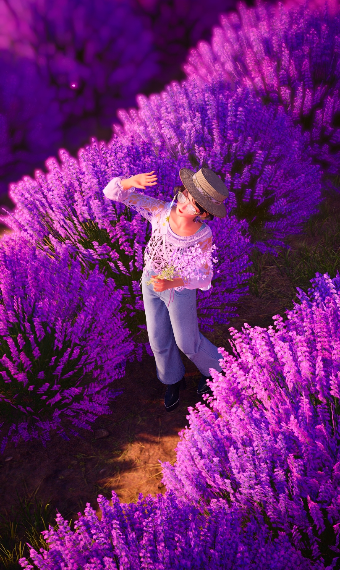 A tourist in Lavender image