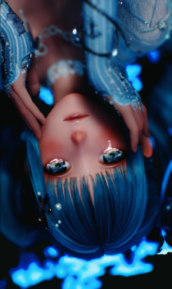 040 image