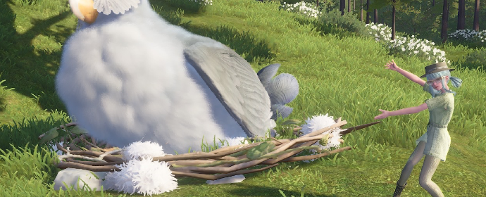 Third image