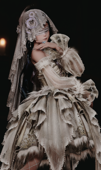 Veil image