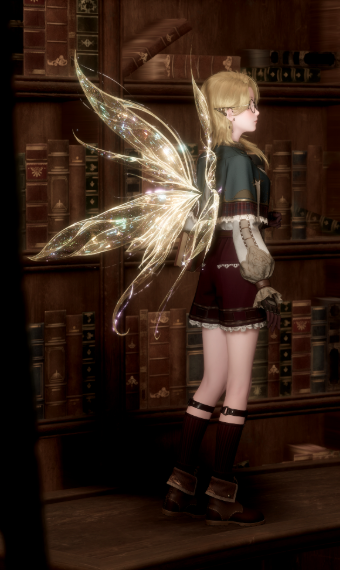Knowledge Seeker Fairy image