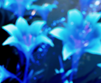 First image