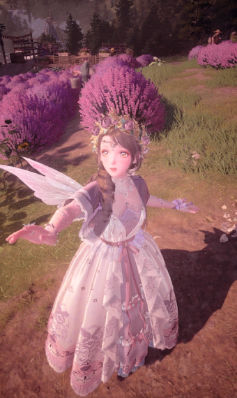Fairy of the Lavender Harvest image