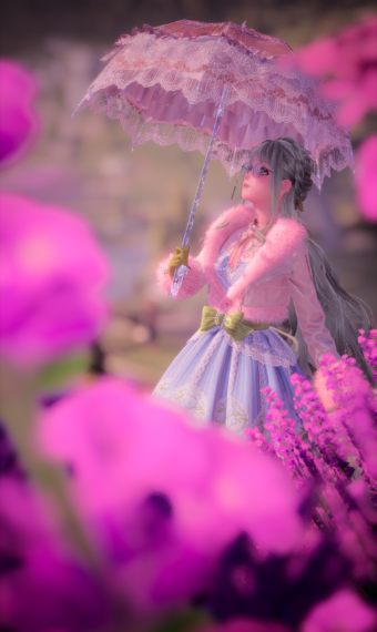 A turn around the garden image