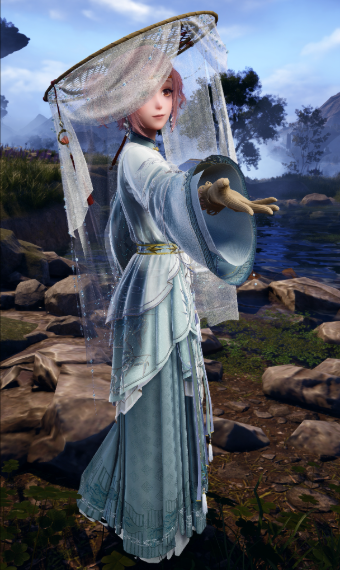 The Traveller image