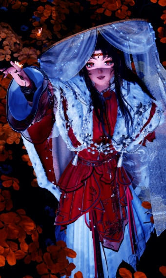 Wanderer image