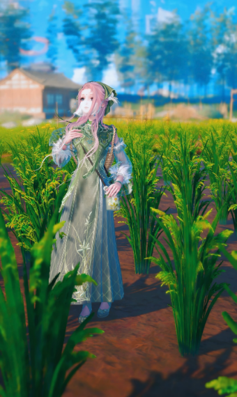In the Fields image