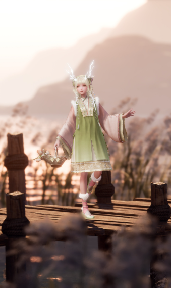 Wanderer image