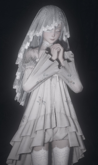 The lost bride image