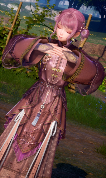Wang servant image