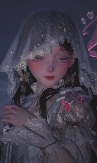 Veil image