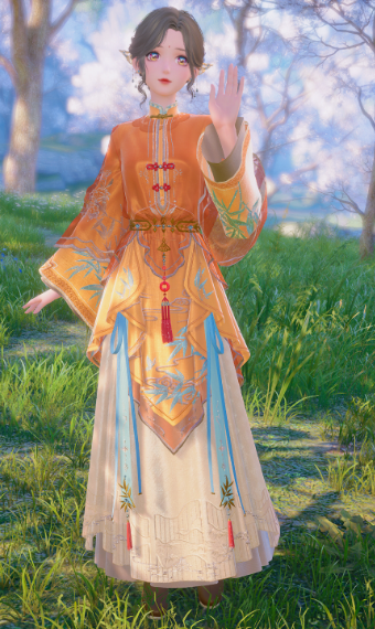 Orange Danqing Look image