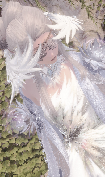 Swan image