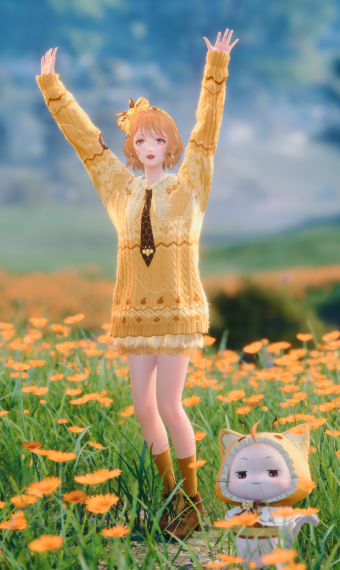 Honey Bee | Matching with Momo image