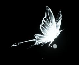 Second image