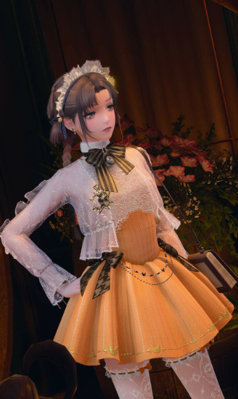 Racoon maid image