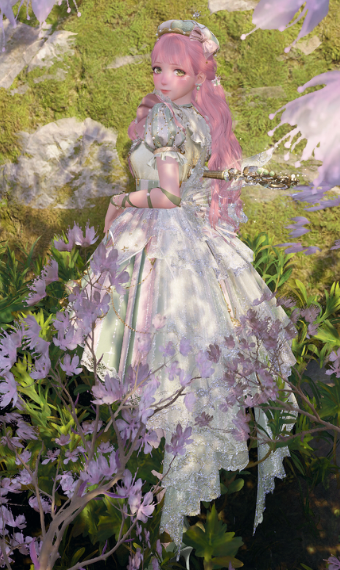 Cherry Blossoms image
