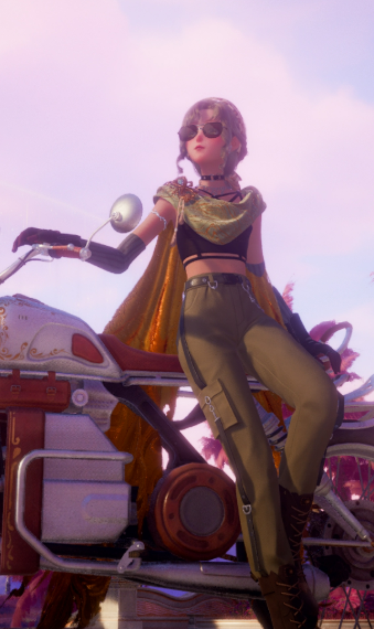 Desert Biker image